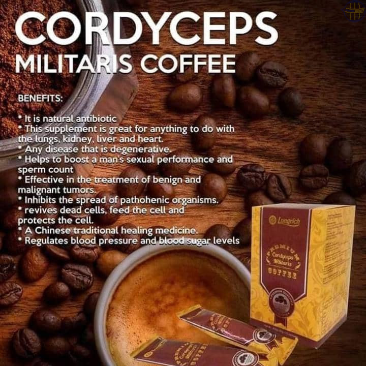 café cordyceps militaris